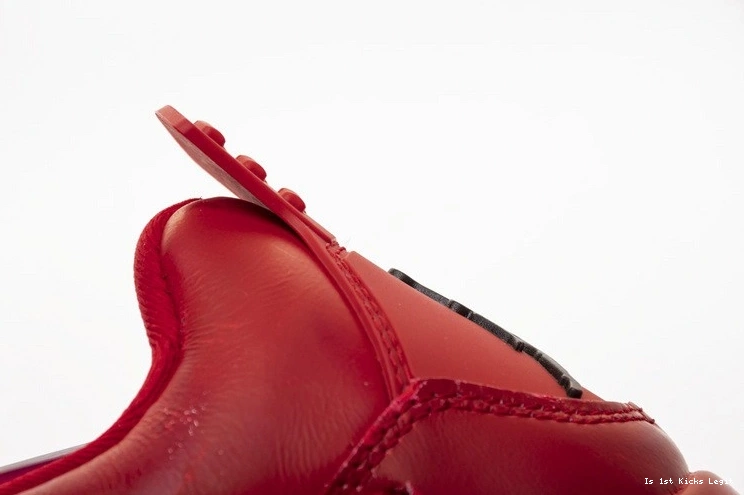 Jordan 4 Singles Air AV3914-600 Day 0224